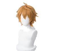 WHBHD Genshin Impact Tartaglia Cosplay 30cm Breve Natale Parrucca Brown Parrucca Cosplay Parrucche Anime Anime Resistenti al Calore Parrucche Sintetiche + Tappo della Parrucca
