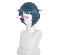 WHBHD Genshin Impact Xingqiu Cosplay Complay 30 cm Parrucca Breve Parrucca Blu Gray Blu Blue Cosplay Anime Cosplay Parrucche Cosplay Parrucche Resistenti al Calore Parrucche Sintetiche Halloween