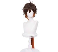 WHBHD Genshin Impact Zhongli Cosplay Parrucche Cosplay Gradiente Brown Lungo Parrucca Cosplay con Ponytail Capanna Capelli Sintetici Resistenti al Calore