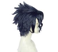 WHBHD JoJo Bizarre Adventure Kujo Jotaro Parrucca Breve Black Blue Blue Blue Resistente al Calore Capelli Sintetici Costume Anime Costume Cosplay Parrucche + Tappo della Parrucca