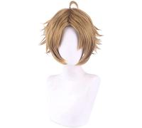 WHBHD Parrucche Cosplay Anime Mushoku Tensei: Jobless Reincarnation Rudeus Greyrat Parrucca Cosplay for Halloween Party Puntelli Accessori con Tappo della Parrucca Gratuita