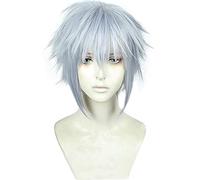 WHBHD Riku Cosplay Wig Game Kingdom Hearts 3. Parrucche del Costume del Cosplay dei Capelli Sintetici Resistenti al Calore Misto Grigio