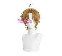 WHBHD Rudeus Greyrat Cosplay disoccupato Reincarnazione Cosplay Cosplay Mushoku Tensei 30cm Parrucca Marrone Cosplay Anime Anime Resistente al Calore Parrucca Sintetica