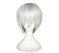 WHBHD Tokyo Ghoul Kaneki Ken Cosplay Parrucca Argento Bianco Sasaki haise Dritto Capelli Sintetici Parrucche Anime Parrucche Accessori Party Party Carnival Puntelli