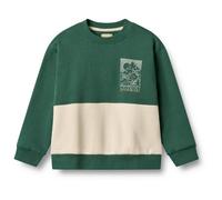WHEAT - Kid's L/S Steff - Maglione 122 verde