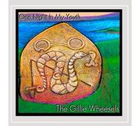 Wheesels Gillie - One Night in My Youth