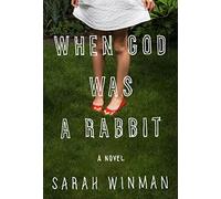 When God Was a Rabbit