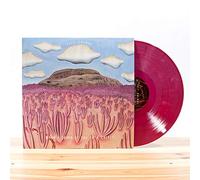 Post Animal When I Think Of You In A Castle (Vinyl LP)