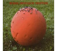 When Skipjack Tripped - Is This World Still Mine?