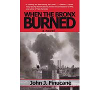 WHEN THE BRONX BURNED: New York's Best Kept Secret
