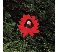 when the flowers bloom-lionmilk-Vinile