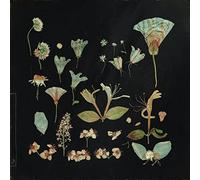 Leaving Laurel When the Quiet Comes (Vinyl LP) 12" Album (Gatefold Cover)