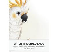 When the Video Ends: A Gentle Illustrated Story About Parrots, Empathy, and Real Animal Care