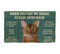 When Visiting My House Please Remember Abyssinian Funny Abyssinian Cute Abyssinian Gift Cat Rule Metal Sign Art Tin Metal Poster Regalo 20,3 x 30,5 cm