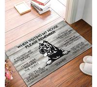 When Visiting My House Please Remember Cane Corso Zerbino Asciugapassi Morbido Tappeto Entrata Trappola Sporco Zerbino Ingresso Per Cucina Interno Esterno 40X60 Cm