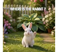 WHERE IS THE RABBIT ?: Kids story book