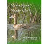 Where Life and Water Meet Life on the Water’s Edge