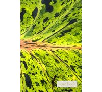 Where Life Begins Again A Radiant Notebook for New Energy, Fresh Starts, and Inner Renewal