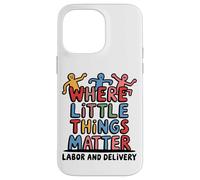 Where Little Things Matter Ostetrica Design Custodia per iPhone 14 Pro Max
