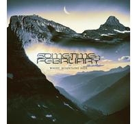 Sometime In February Where Mountains Hide (Vinyl LP)