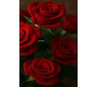 Where Roses Keep My Secrets