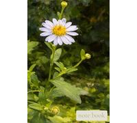 Where Stillness Blooms,A Peaceful Nature Notebook Inspired by Wildflowers, Created for Calm Thoughts, Journaling, and Everyday Reflection