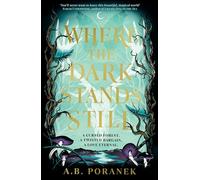 Where the Dark Stands Still: A sweeping, gothic YA fairytale romance