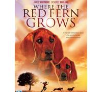 Where the Red Fern Grows – Beverly Garland, Jack Ging, James Whitmore – DVD – Edizione Stati Uniti