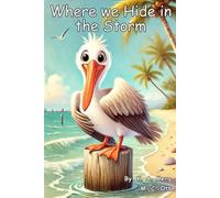 Where We Hide in the Storm