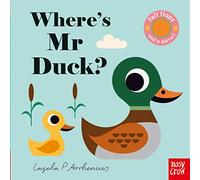 Where's Mr Duck? (Felt Flaps)