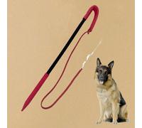 WHIP FORMAZIONE DEL CANE WHIP PROFESSIONE PERSONA PER MASEGGIORE CHASING
