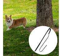 WHIP FORMAZIONE DEL CANE WHIP PROFESSIONE PERSONA PER MASEGGIORE CHASING