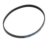 Whirlpool W11239857 - Ricambio originale OEM per cinghia di trasmissione per rondella di carico anteriore, sostituisce W10808317