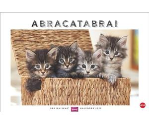 Whiskas Gatti Calendario 2025 da parete con simpatici gatti e storie divertenti Calendario da parete 2025 in bellissimo design calendario 2025 orizzontale 45 x 30 cm