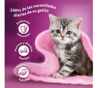 Whiskas Junior Classic Selection Alimento umido per gattini 4x85 gr