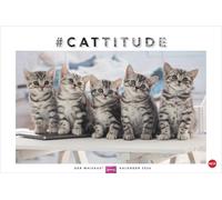 Whiskas Katzenkalender 2026: Foto-Wandkalender mit süßen Katzen und lustigen Geschichten. Wandkalender 2026 in schönem Design. Bildkalender 2026. Querformat 45 x 30 cm.