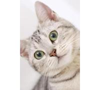 Whisker Whispers: A Journal for Cat Lovers Who Write: 6x9 Cat-Themed Notebook with 200 Lined Pages - Perfect for Daily Reflections, To-Do Lists, and Creative Thoughts