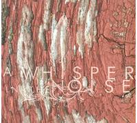 Whisper In The Noise - To Forget