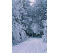 Whispers Beneath the Snow