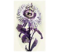 Whispers of Passion Journal (Notebook, Diary) (Hardcover): Exotic Flower Series