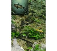 Whispers of the Sea: 110-Page Lined Notebook | 6x9 Inches | Perfect for Writing, Notes, and Daily Journaling
