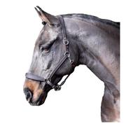WhitakerReady To Ride Pelle Cavezza per Cavallo (TL4810)
