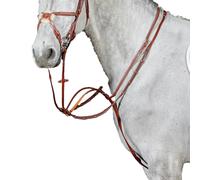 WhitakerValencia Luxury Pelle Martingala per Cavallo (TL6236)