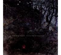White Birches When the Street Calls (CD)