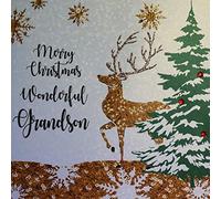 White Cotton Cards xf3-gs grande cartolina natalizia"Merry Christmas Wonderful nipote
