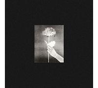 Day By Day - White Flowers (Audio cd)