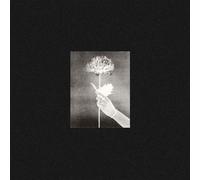 White Flowers Day By Day (Vinyl LP) 12" Album
