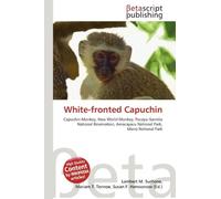 White-fronted Capuchin: Capuchin Monkey, New World Monkey, Pacaya-Samiria National Reservation, Amacayacu National Park, Manú National Park