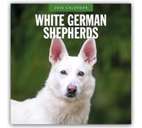 White German Shepherds - Weißer Deutscher Schäferhund 2026 - 16-Monatskalender: Original Red Robin Publishing Ltd-Kalender [Mehrsprachig] [Kalender]