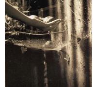 White Hotel - Porcelain/the Secret...